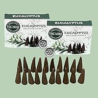 Vista 152 de TRUMIRI Copal Incense Cones - Total 20 Cone Incense - Dual Pack of 10 Insence Cones - Incense Cones Scented - Cone Incense Scents - Insense Cones