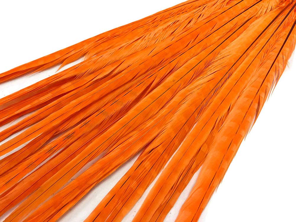 CENFRY Pack of 10 Natural Bleached Dyed 12-14inch Pheasant Tails Feathers Costume Craft Decoration (Orange)