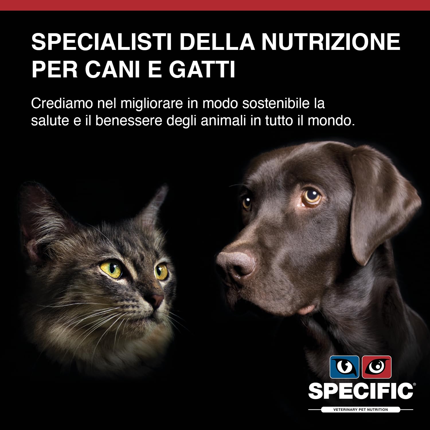 SPECIFIC® Food Allergen Management (CDD-HY) - 7kg - Alimento ipoallergenico con salmone idrolizzato - Crocchette per cani - Senza glutine - Per tutte le età - DECHRA Veterinary Products