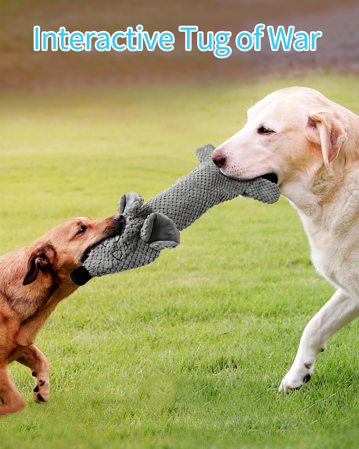 Hundespielzeug, quietschendes Plüsch, keine Füllung, knisterndes Hundespielzeug für kleine, mittelgroße und große Hunde, interaktives Kauspielzeug für Welpen, 5 Stück