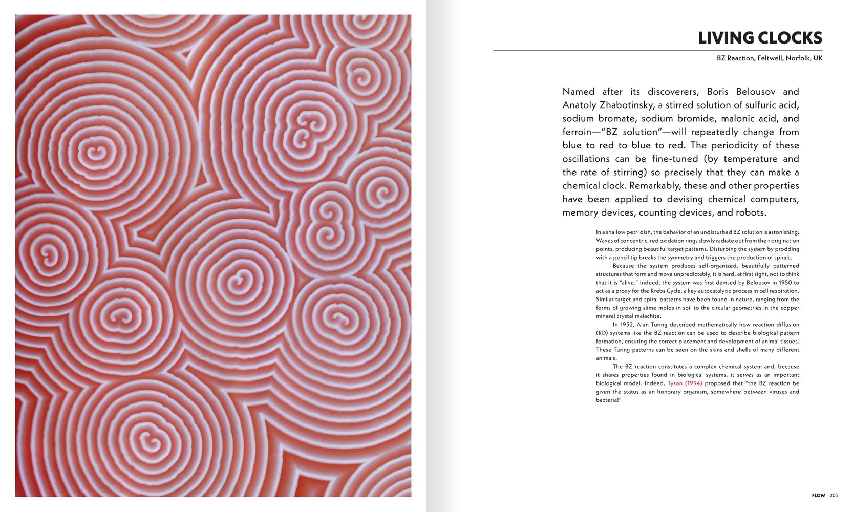 The Shape of Nature: Intricate Patterns of Life