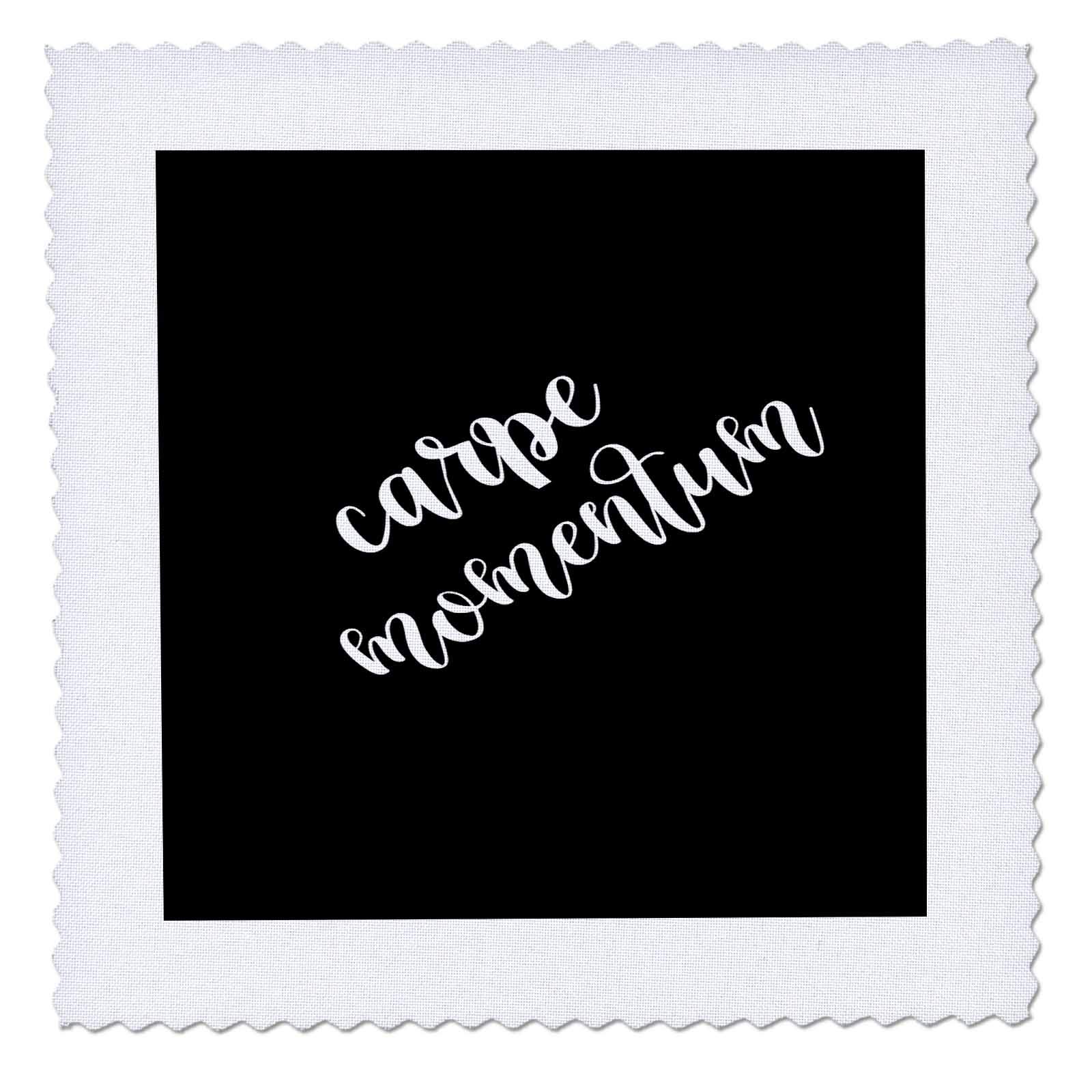 16x16 inch Quilt Square - Carpe Momentum Motivational Saying TDSwhite – Text Sayings Motivation Inspiration
