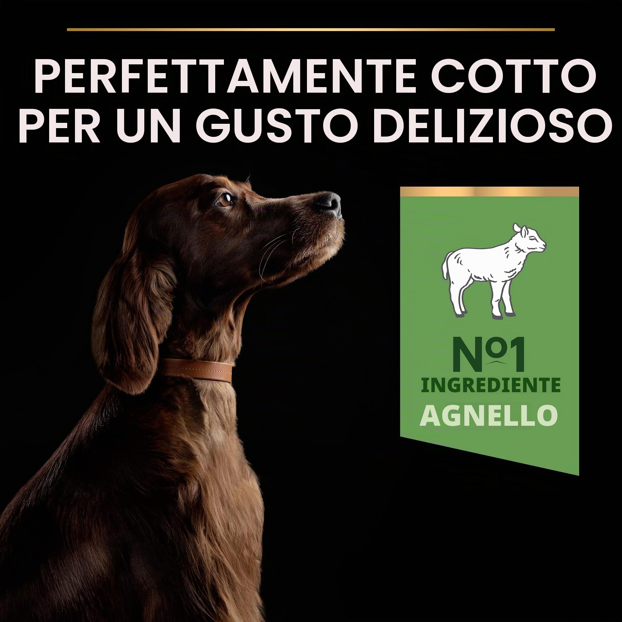 Purina Pro Plan Optidigest Large Athletic Adult Crocchette Cane 14 kg