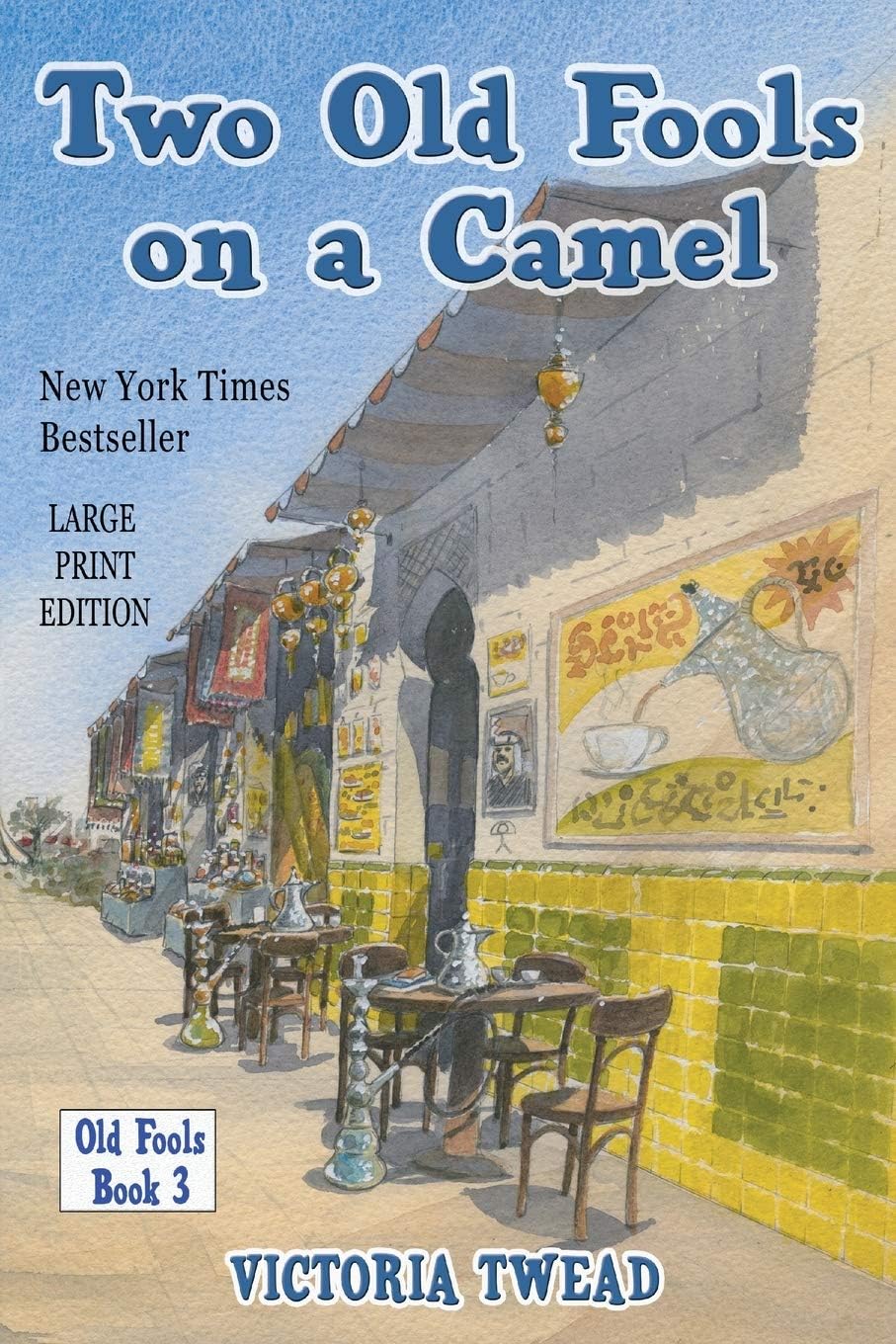 Two Old Fools on a Camel - LARGE PRINT: From Spain to Bahrain and back again (Old Fools Large Print)