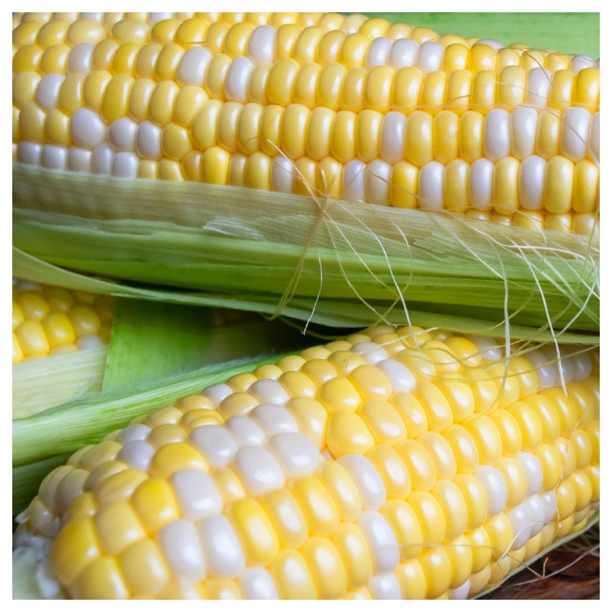 Amazon.com : Everwilde Farms - 1 Lb Delectable Hybrid Sweet Corn