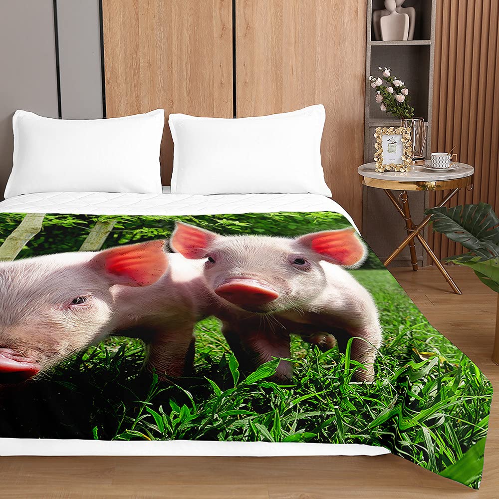 Trapuntino Copriletto Trapuntato Matrimoniale Singolo, Chickw11 3D Maiale Stampa Coperta Primaverile Estivo Trapunta Goffrato Coperta Leggera per Camera da Letto (Maiale d'erba,230x280cm)
