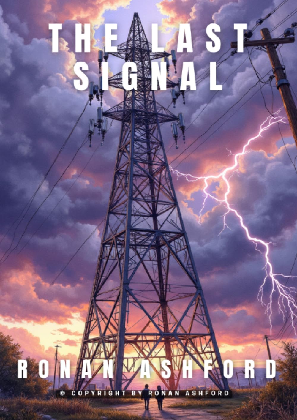 The Last Signal