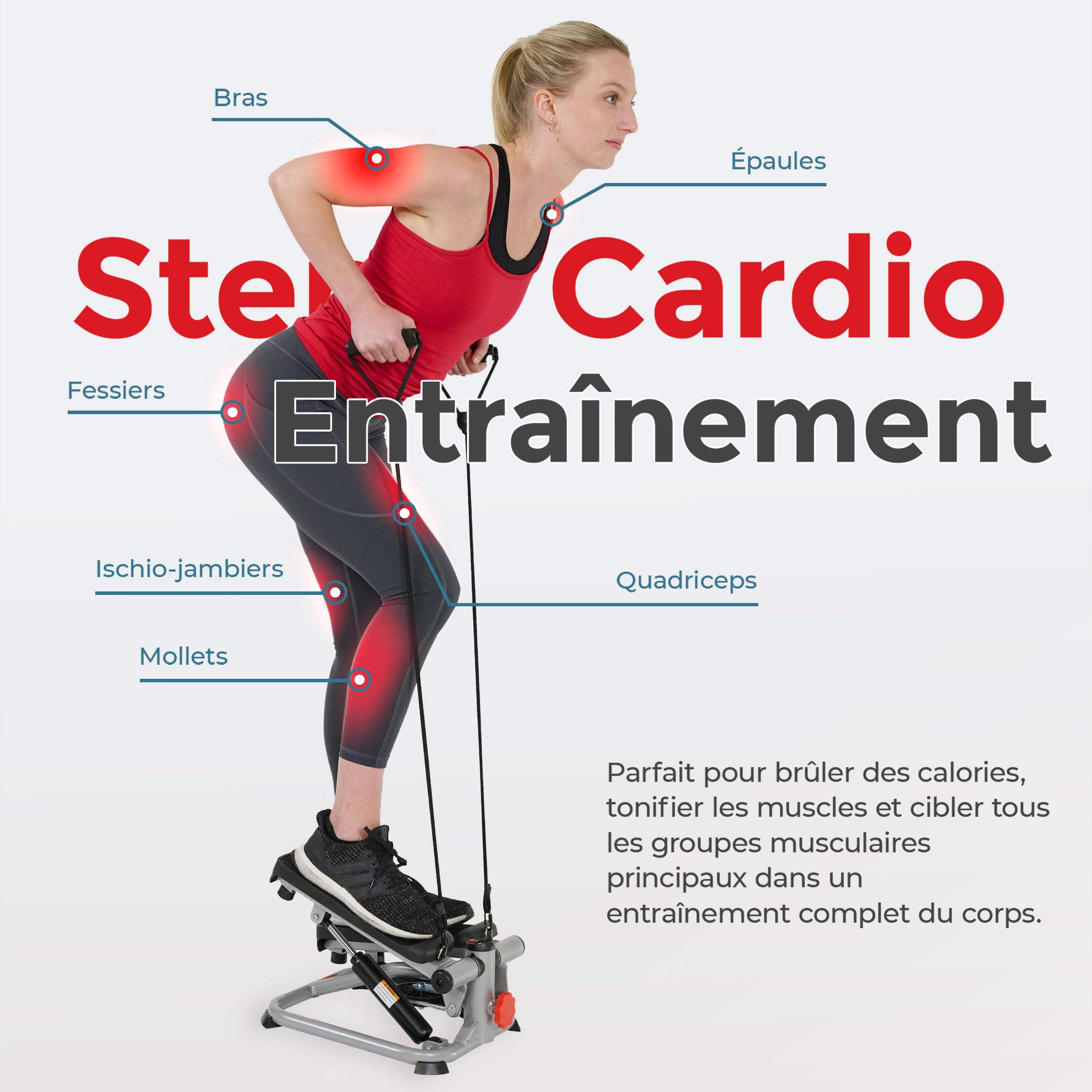 Sunny Health & Fitness Mini Stepper Machine de Step avec Mouvement de Rotation et Bandes de Résistance