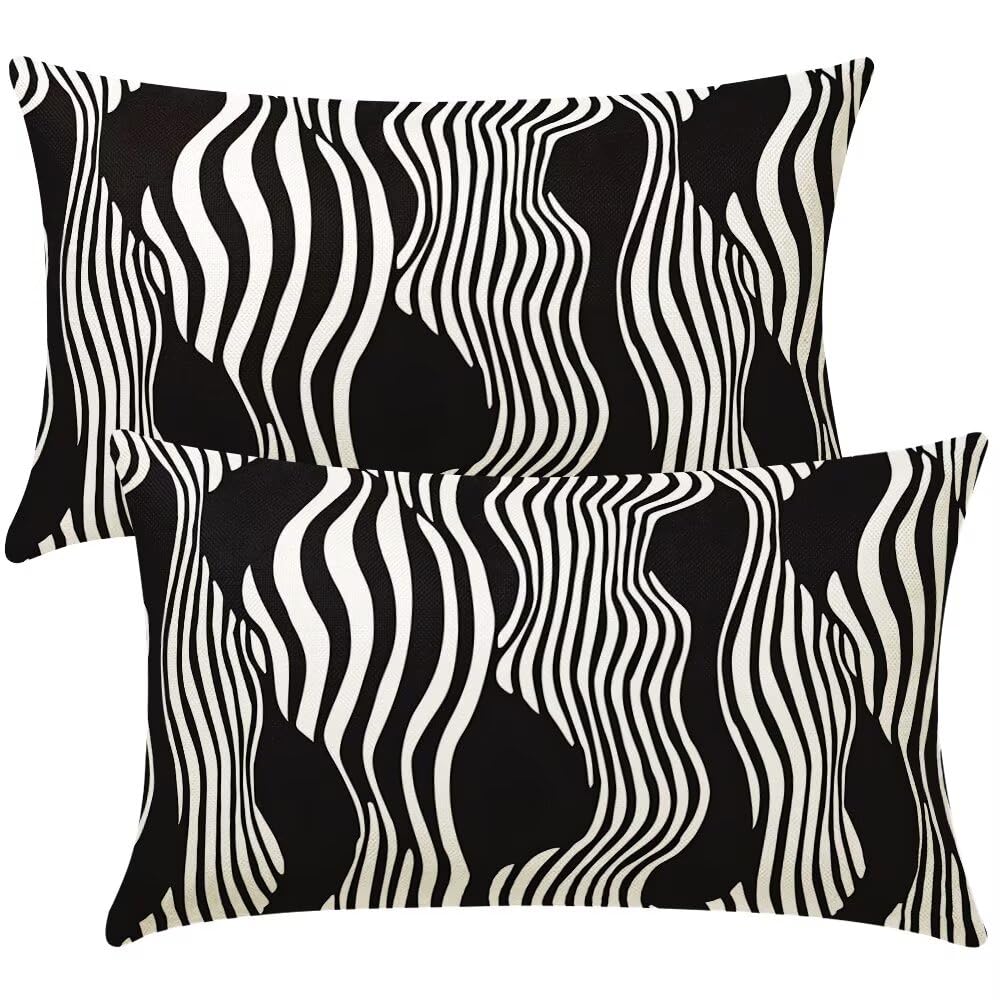 Cushion Covers 35cm x 55cm Black and White Cushion Cover 14 x 22 Inches Pack of 2 Throw Pillow Covers Abstract Lines Sofa Cushions Decorative Pillowcases for Living Room Bedroom Home Decor -SC457