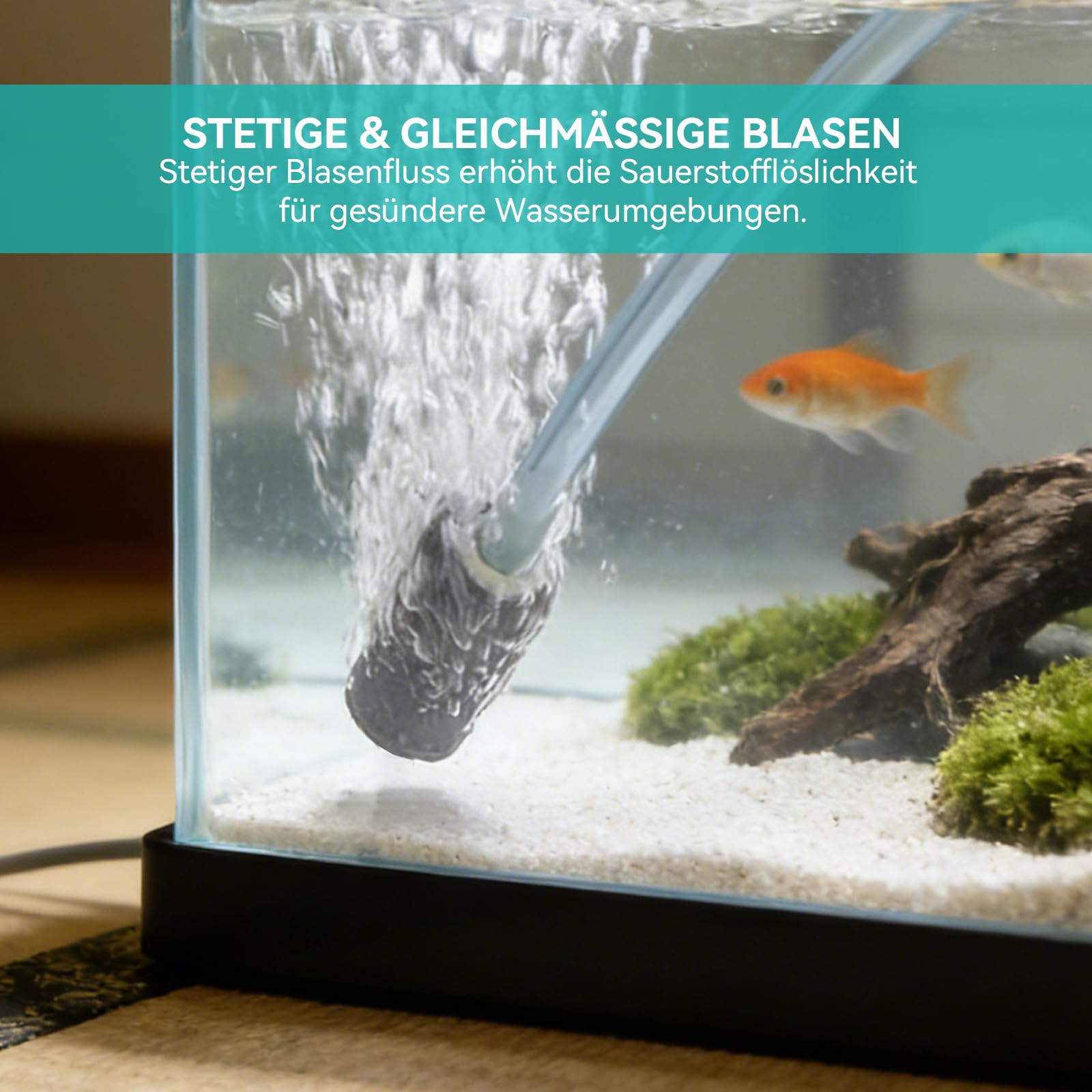 20 Stück Aquarium Luftstein Sauerstoffsteinscheibe Zylinderförmig und Kugelförmig Form des Steins Sauerstoff Diffusor für Luftpumpen,Eimer,Hydropnik,Kleine Teiche(15 mm, 28 mm)