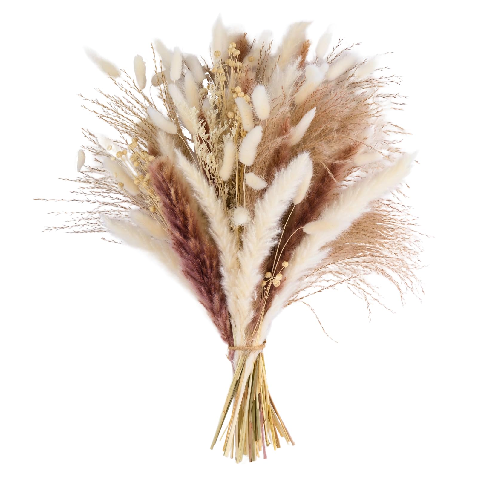 Pampasgras Deko Trocken 44cm hoch - schöner Pampasstrauß mit kleinem Pampas, Trockenblumen, Bunny Tails, Federgras - für Hochzeit oder Trocken Blumen Dekoration