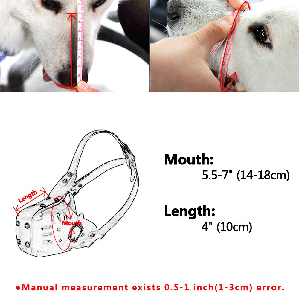 Museruola per Cani in Vera Pelle Museruola per Cani Regolabile Forniture per Addestramento per Evitare di Mordere Masticare Abbaiare