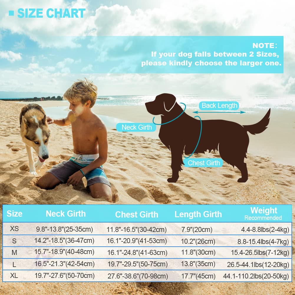 EMUST Giubbotto Salvagente Cane, Ristop Salvagente per Cani, Leggero Giubbotto Salvagente per Cani, Giunture Blu XL