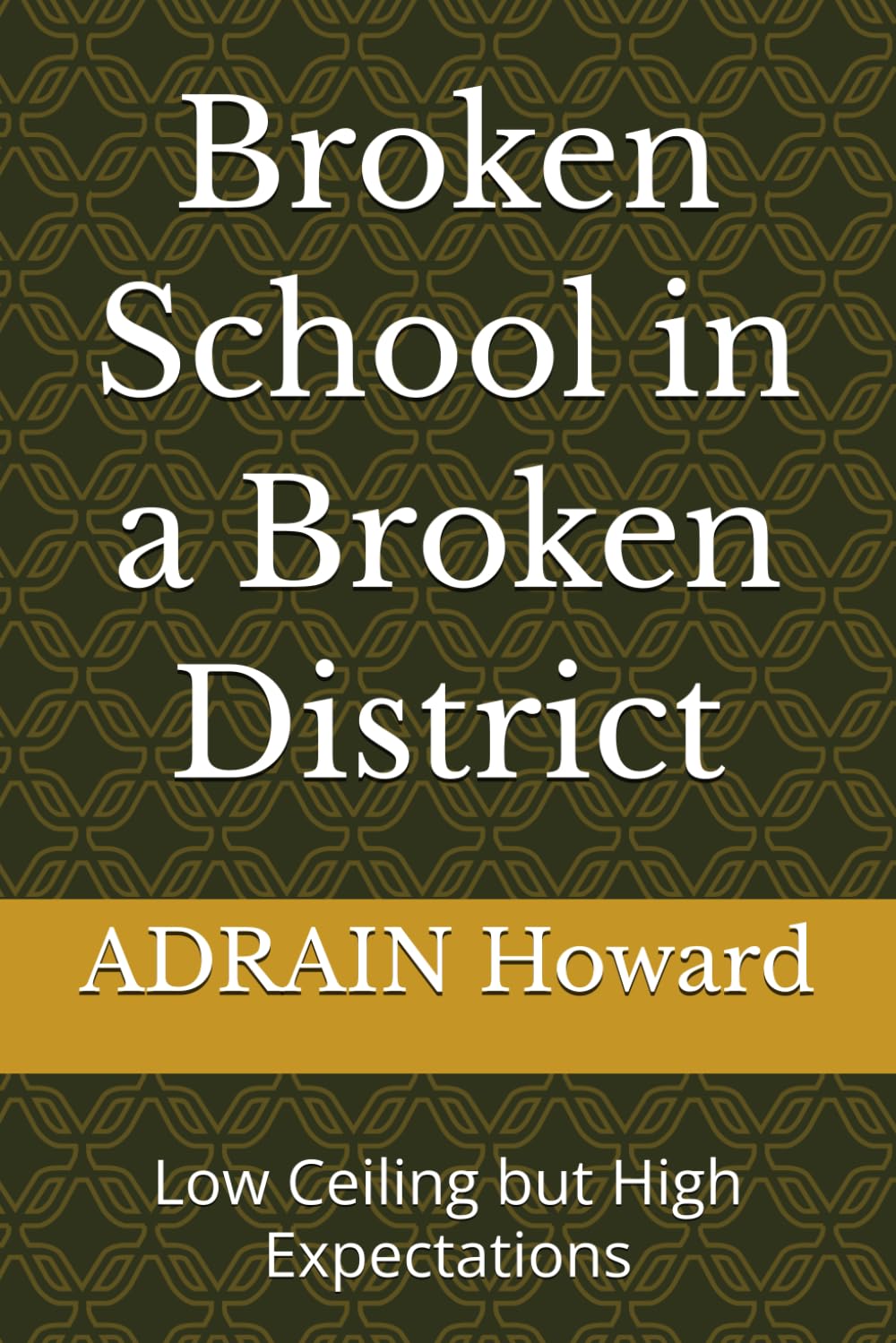 Broken School in a Broken District: Low Ceiling but High Expectations