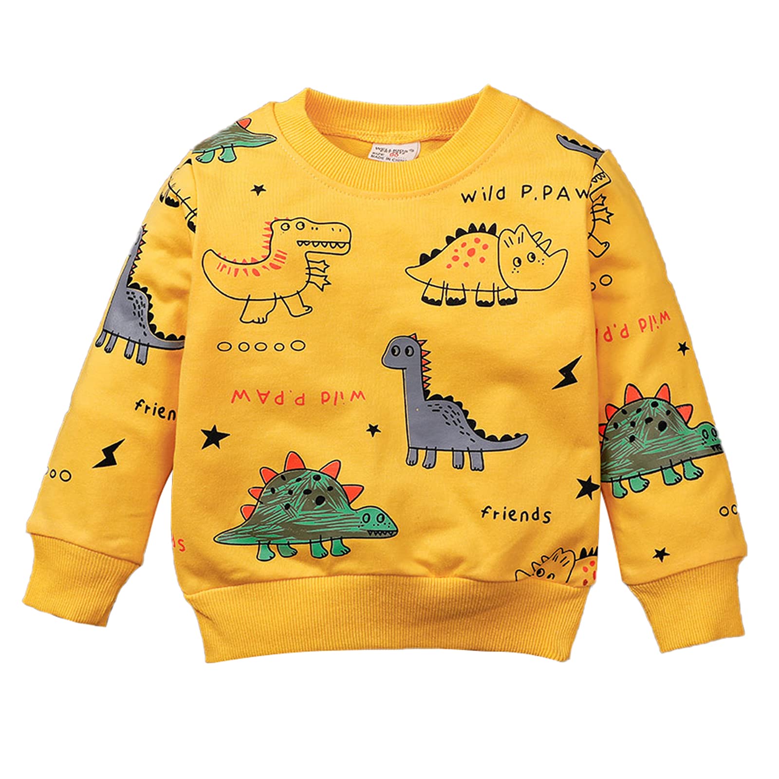 amropi Garçon Ensemble de Survêtement Dinosaure Imprimé Sweatshirt et Jogging Pantalons pour 1-6 Ans