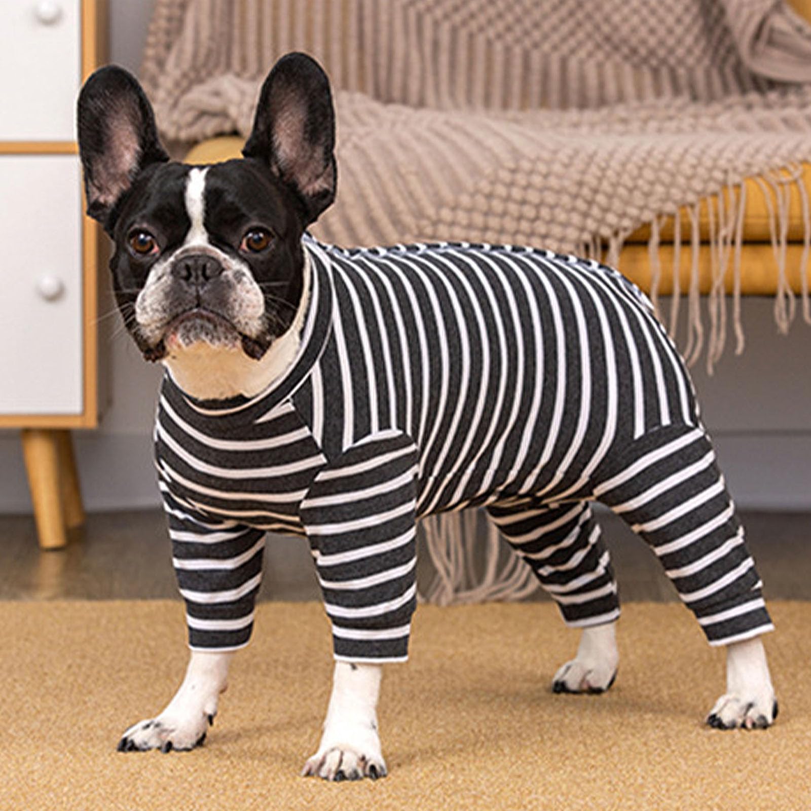 Dog Surgery Recovery Suit Protecting Wounds and Preventing Infection,Medical Suit for Female/Male,Dog Onesie Pyjamas for Medium and Small,Medical Pet Shirts (grey - Image 4