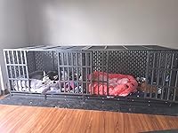Review Image by Amazon Customer