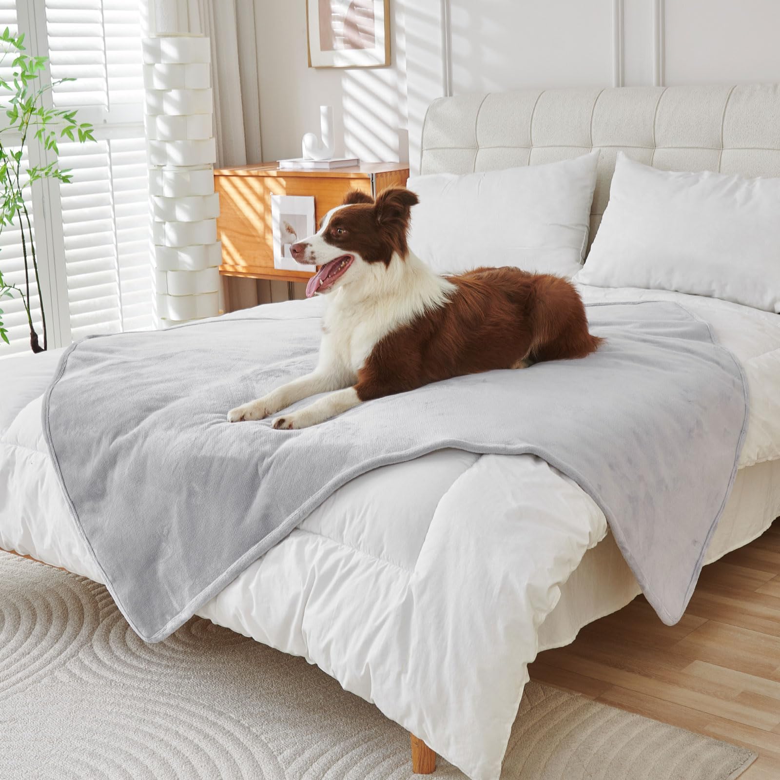 LiveGo Couverture imperméable pour animal de compagnie – Couverture réversible en polaire Sherpa pour chien, en peluche douce, lavable pour canapé, lit et meubles – Housse antidérapante pour animal