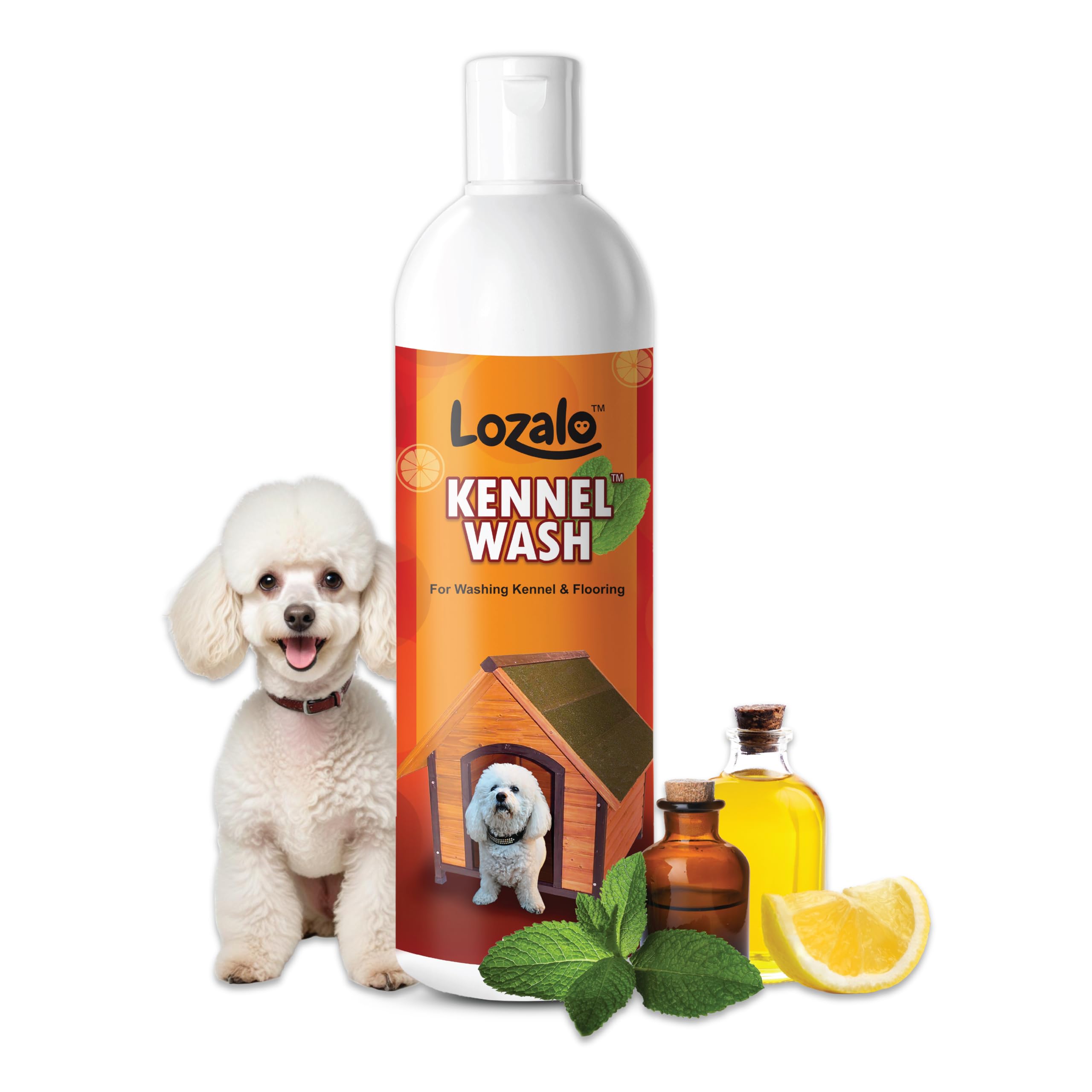 Lozalo Kennel Wash Liquid 500ml for Washing Dog Kennel & Flooring, Pet Shops, Veterinary Clinics & Grooming Salons (Red)-image-47
