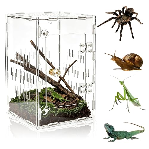 Demlaka 15 × 15 × 25 cm apertura frontal Caracoles Terrarium: Terrario de insectos, acrílico estable