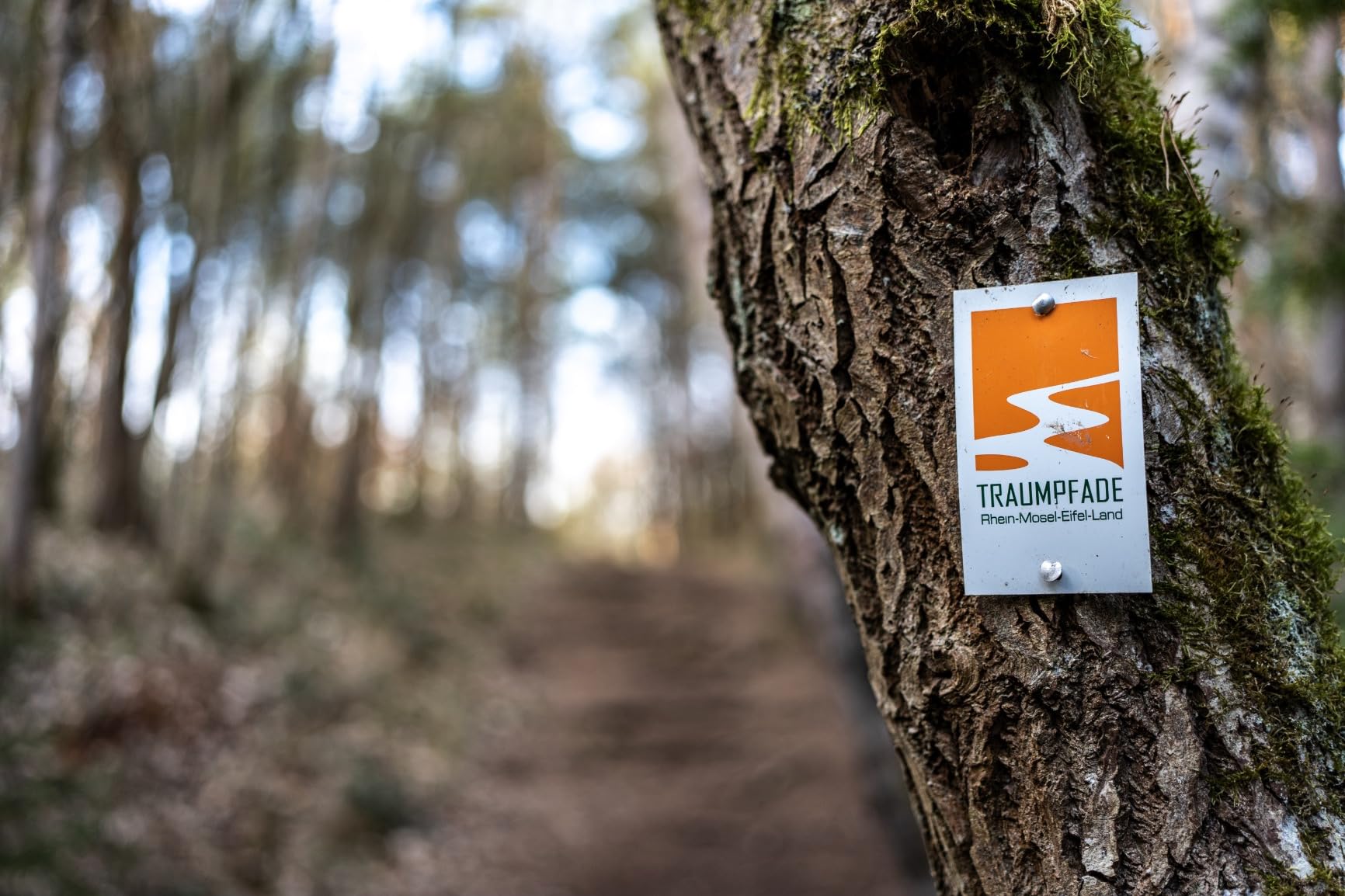 Premium Festbrennweite im Kompaktformat