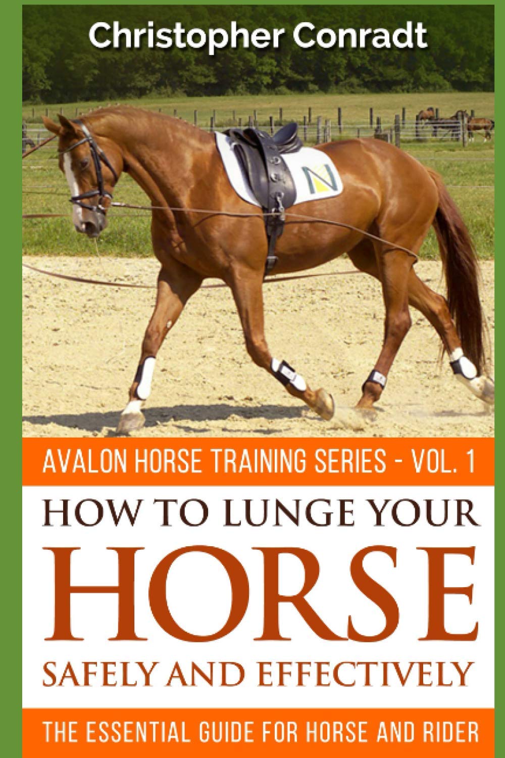 Buy How To Lunge Your Horse Safely and Effectively Revised & Updated Online at desertcartEGYPT