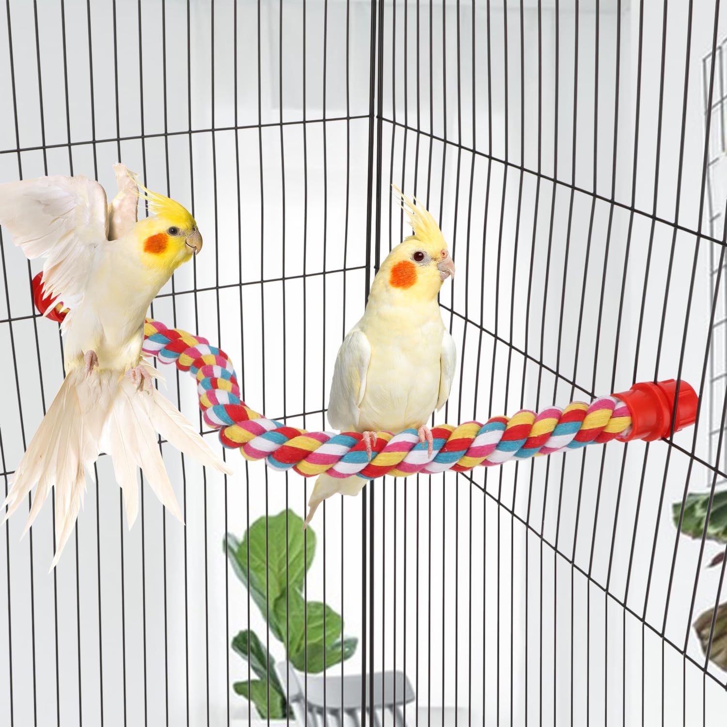 Bird Rope Perch, 160cm Parrot Swing Climbing Spiral Standing Toy Develops Bird Coordination and Balance for Large and Medium Small Parrots