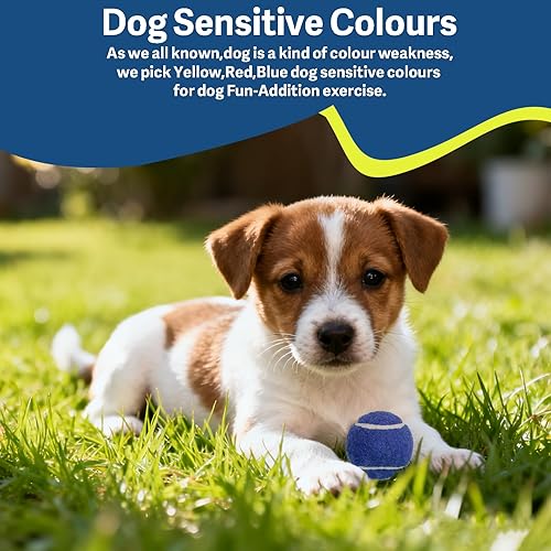 Miniatura 2 de 1.5" Small Tennis Balls for Dogs - Cat Toy 3 Colours and Pack of 12 Mini Tennis Balls for Small Dogs