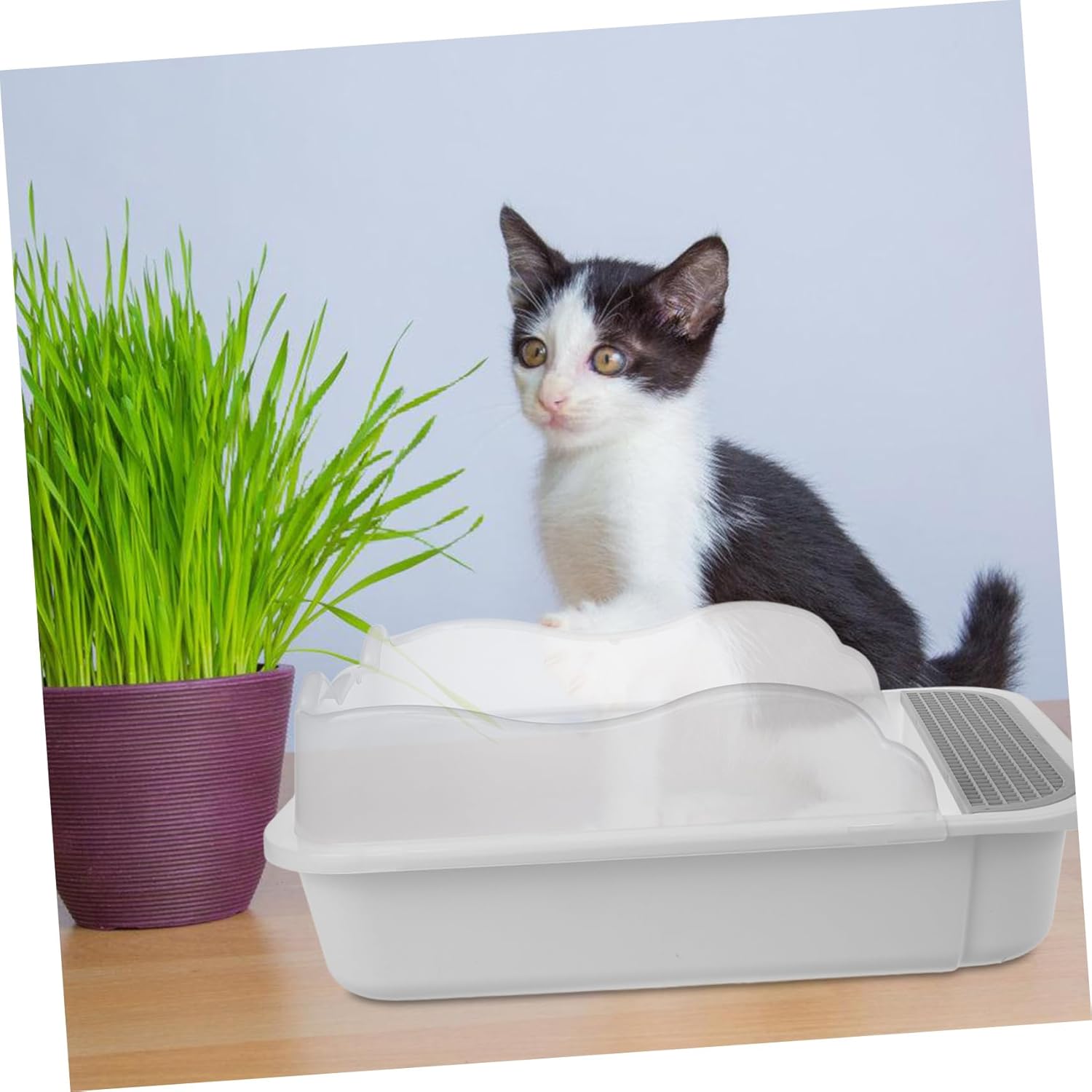 SUPVOX 1Set Litter Box Splashing Design with Shovel Cat Toilet for Household Use Convenient and Cat Supply for Kittens and Adult Cats