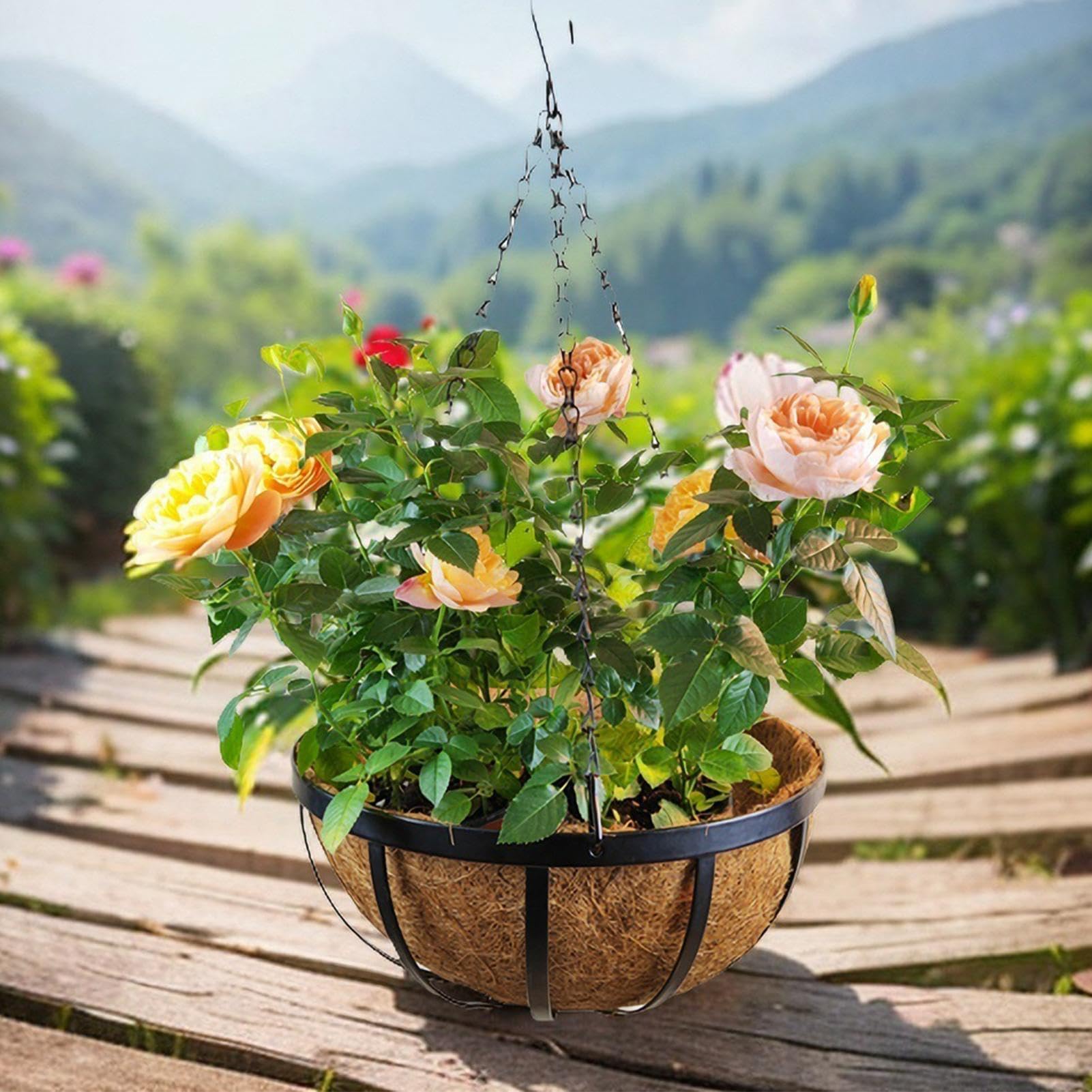 Kokos Pflanzkorb Kokos Pflanzgef Badekorb Kokos Hngeblumenkorb Hngender Pflanztopf  Kokos Blumentopf Kokosfaser Liner fr Natrliche Hngepflanzen: Amazon.de:  Garten