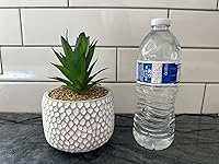 Review Image by MDC MDC