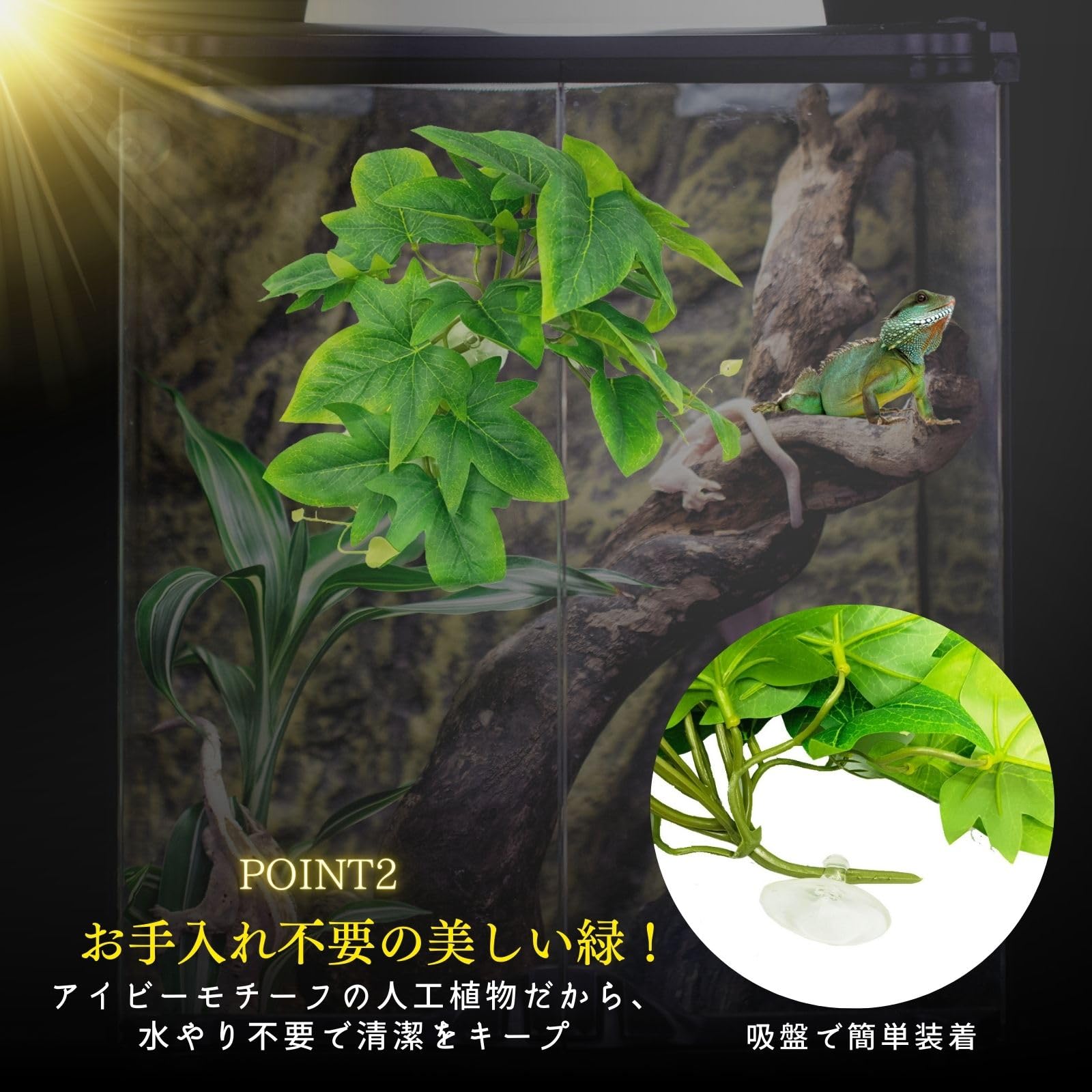 Amazon | Archnote 爬虫類 シェルター レオパ カナヘビ トカゲ 亀 浮島