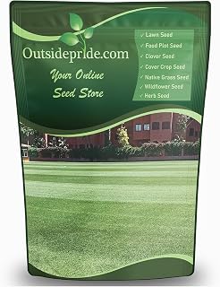Outsidepride 2 lbs. Warm Season Perennial Rio Bermuda Grass Seed #1 NTEP Rated for Establishment