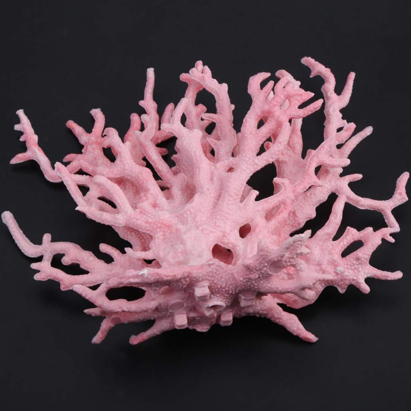 ホワイトサンゴ 枝状 水槽装飾 Amazon.co.jp: サンゴの装飾 | 人工魚水槽サンゴの枝 - サンゴ