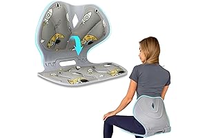 Lumbar Support for Chair - Foldable Ergonomic Cushion for Study Chair, Teenager, Car Reading Chair