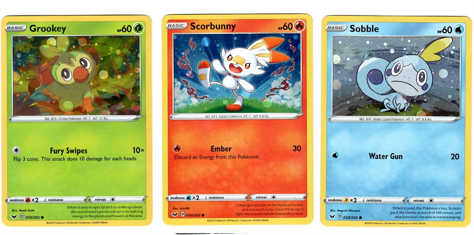 Grookey & Scorbunny ヒバニー　サルノコ　フットサル　プロモ Grookey & Scorbunny ヒバニー サルノコ フットサル プロモ