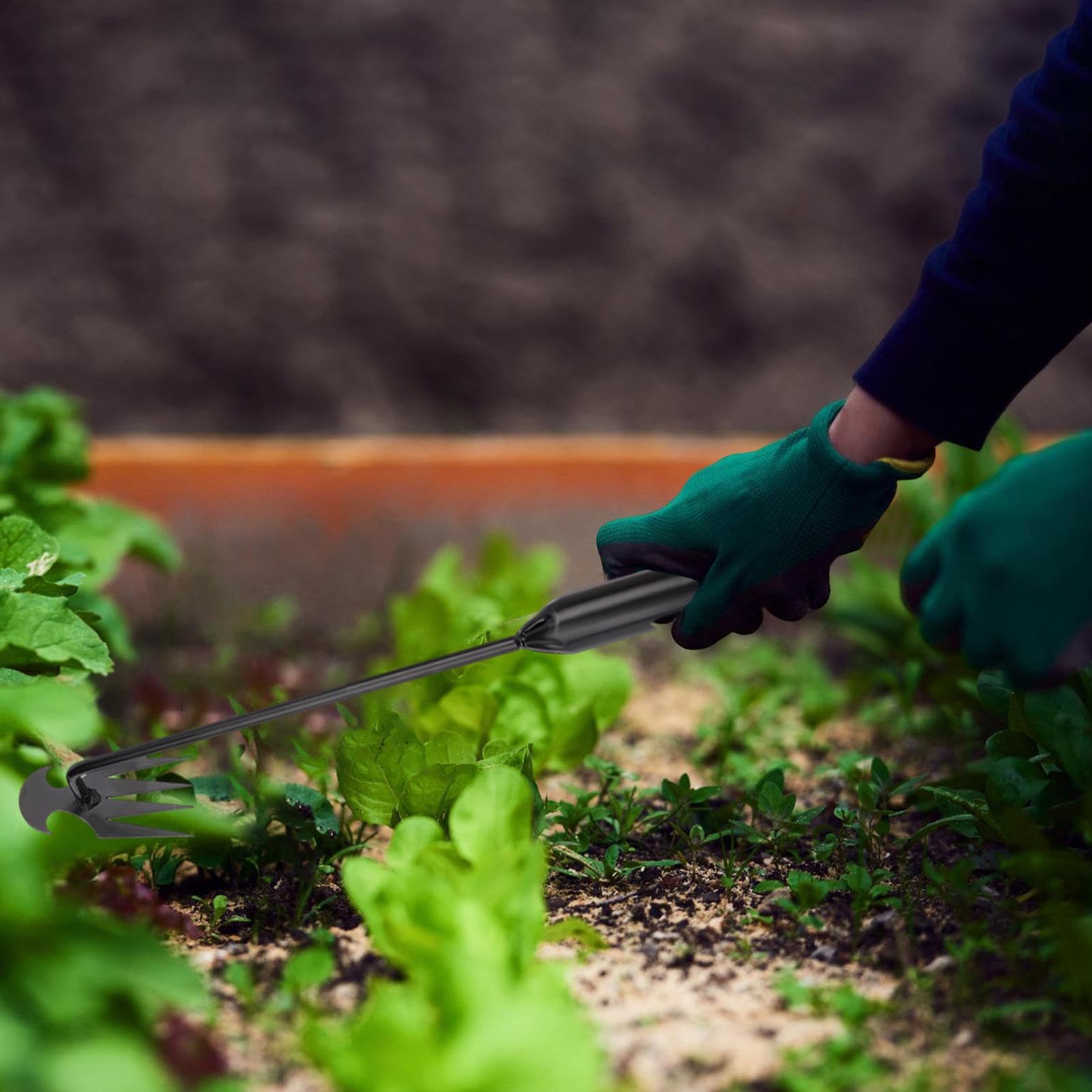 Attrezzo Per Diserbo Manuale OCCOUMR - In Acciaio Inox Con Manico, Per Denti Di Leone E Erbacce | Giardinaggio Preciso - Foto 8