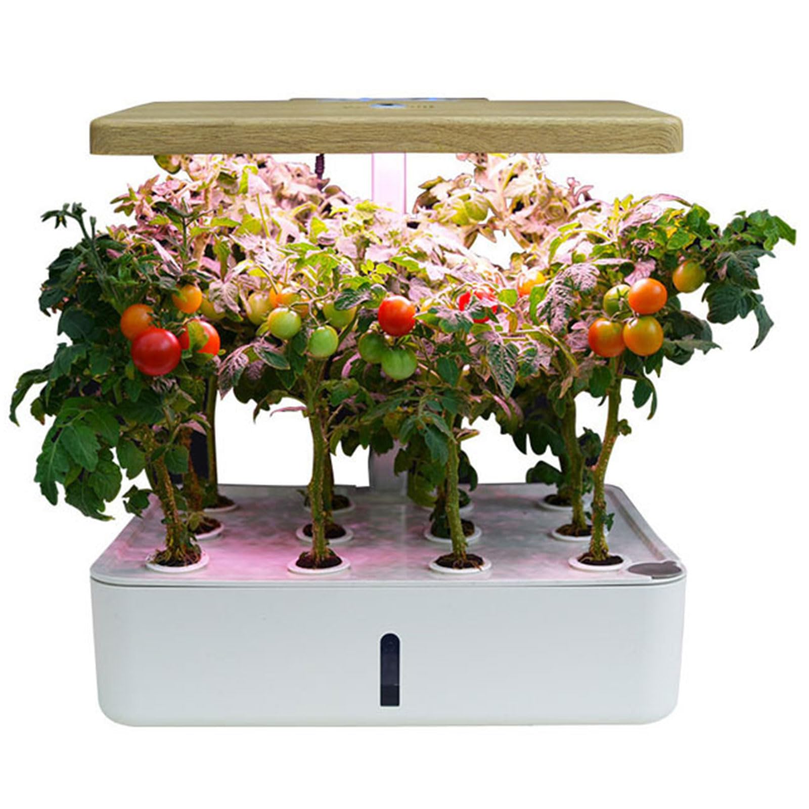 Kit de germination des plantes PEIXEN avec éclairage LED horticole et cycles automatiques