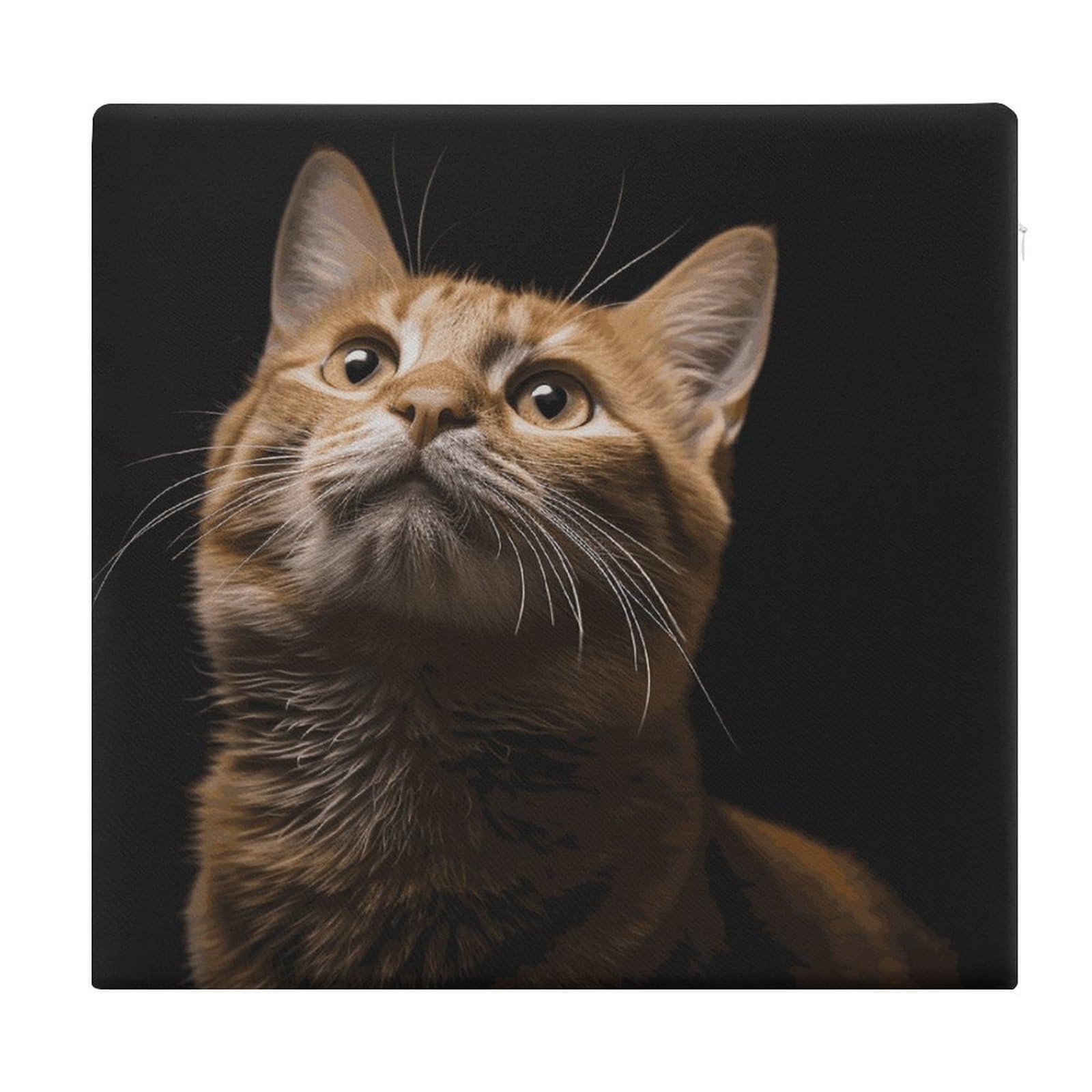 MUSM Cat Looks Up Chair Cushions Square Indoor Dining Chair Pads Breathable Seat Cushion Memory Foam Pad Ultra Soft Warm Floor Cushion for Kitchen Office Car 13.8”x15”