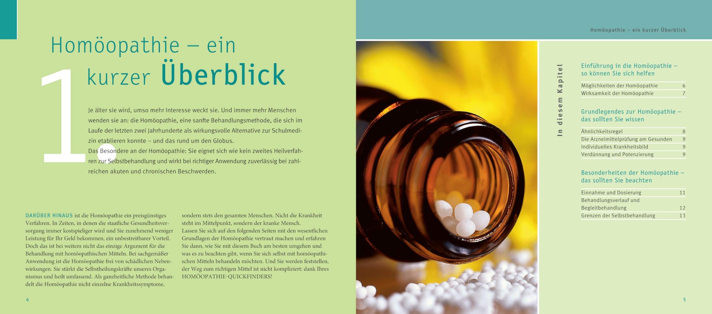 Quickfinder Homöopathie: Der schnellste Weg zum richtigen Mittel (Alternativmedizin)