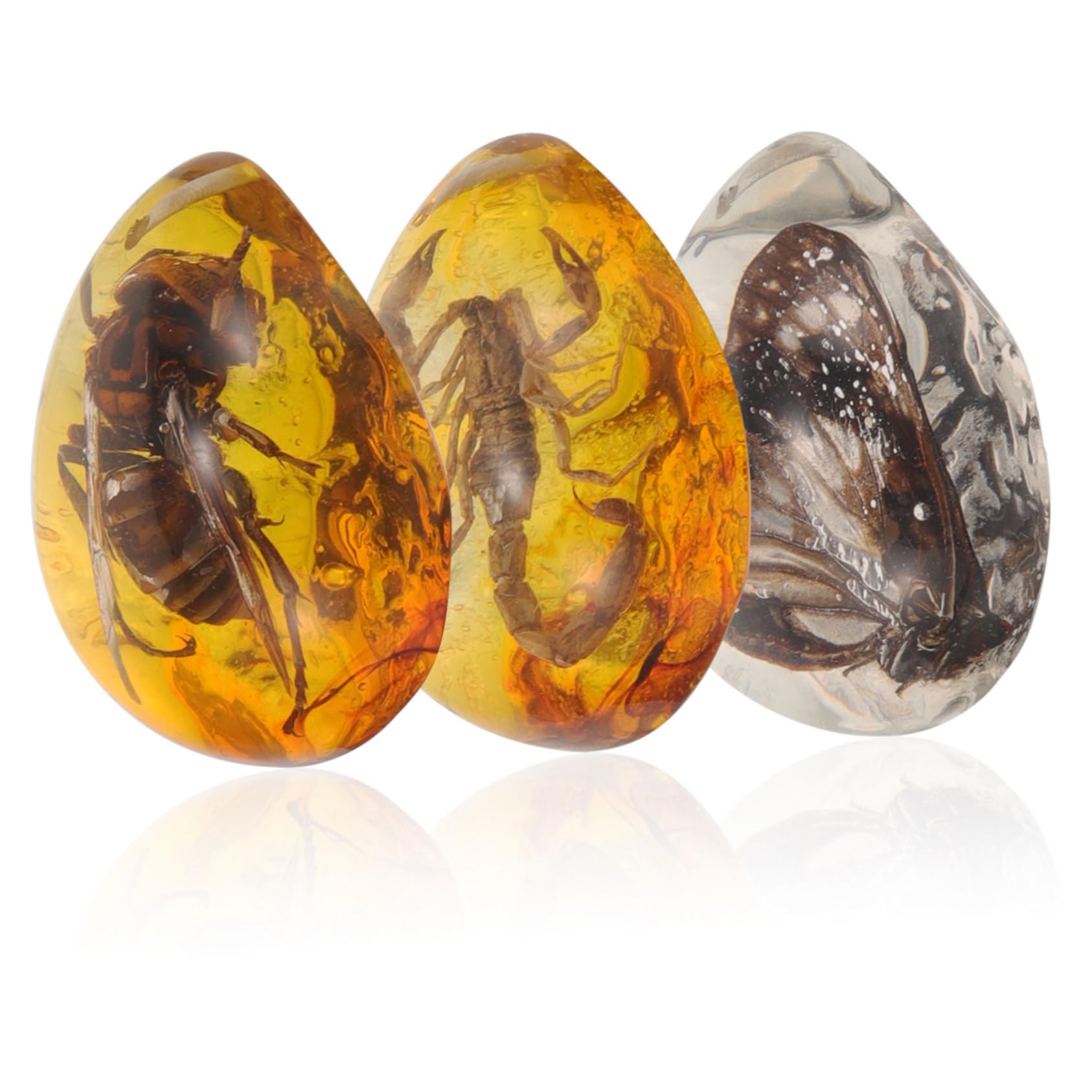 TOYANDONA 15pezzi Insetti Ambra Naturale Decorazione Ambra Con Specimen Di Insetti Farfalla Scorpione Ape Ciondolo Unico Per Appassionati Decorazioni Fai Te