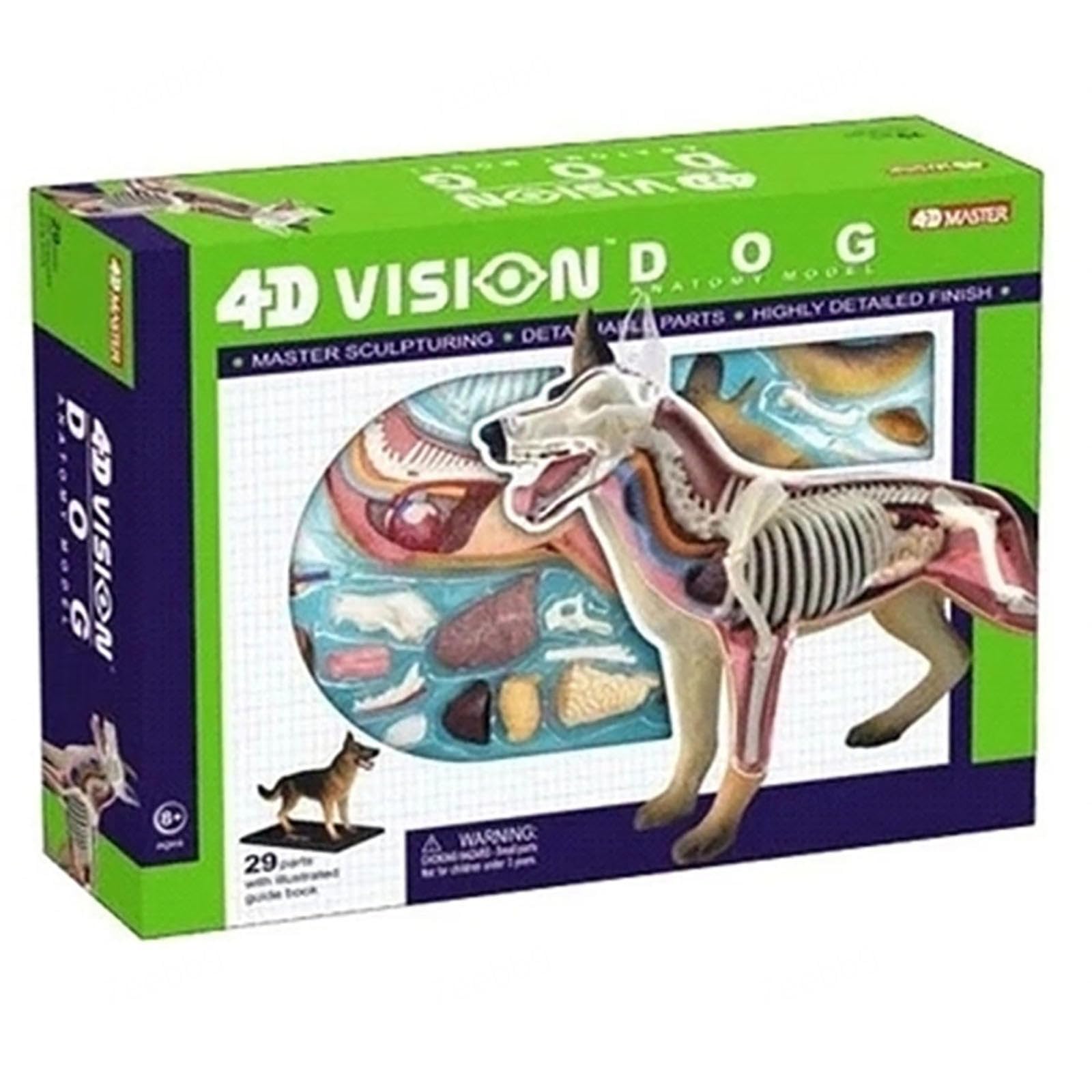 Modelo de anatomía del Perro 4D, Gato/Caballo/Vaca/Cerdo/animalesqueleto canino, espécimen de Esqueleto Animal, biología Desmontable, clínica Veterinaria para Mascotas (Perro)