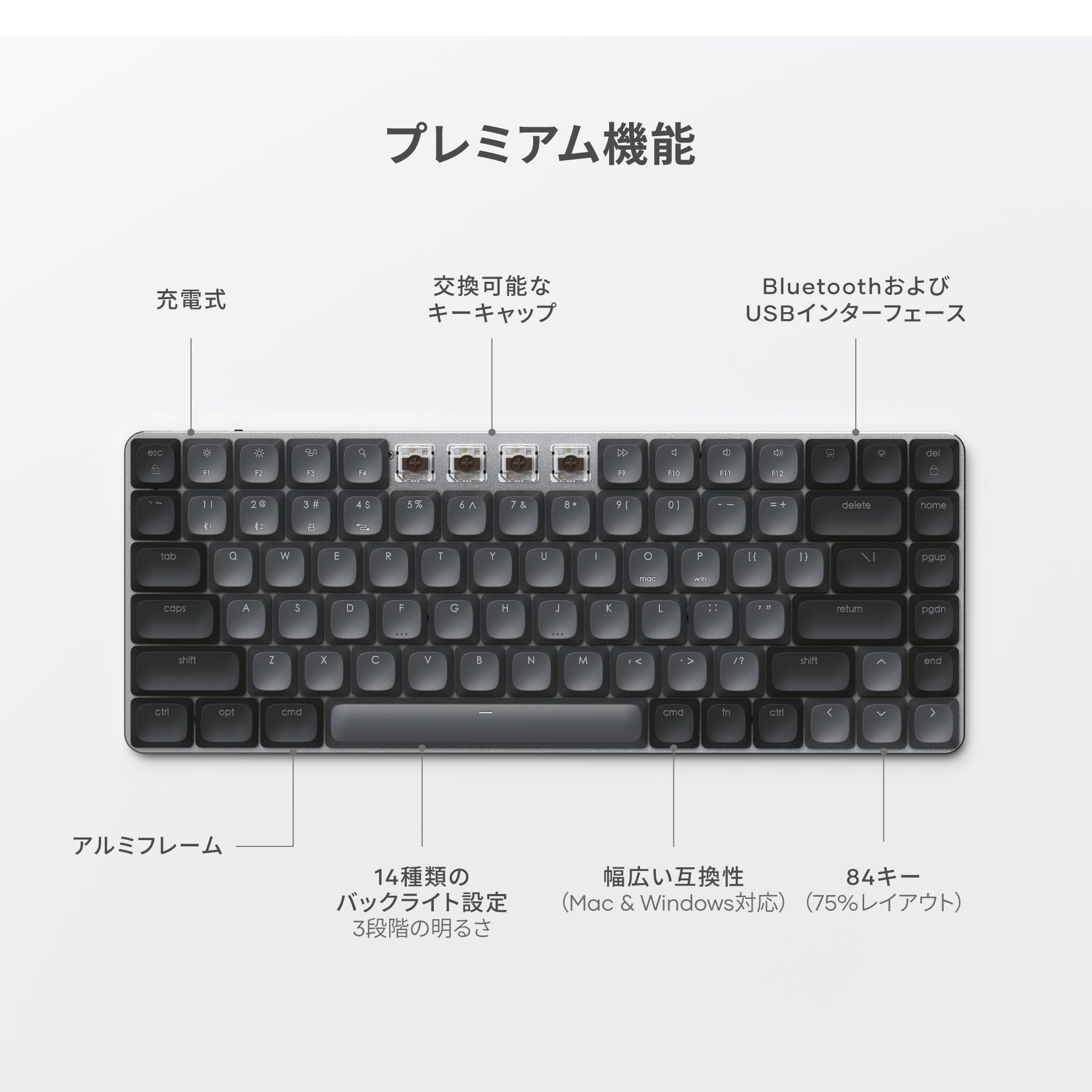 Amazon.co.jp: Satechi SM1 75% Mechanical Keyboard, LED Backlit