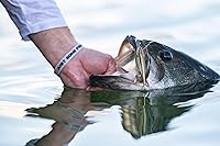 Vista 5 de Berkley PowerBait The Champ Minnow Cebo suave para pesca, HD Blacknose Shiner, 3.4in