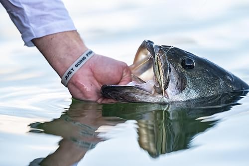 Miniatura 5 de Berkley PowerBait - Cebo suave para pesca