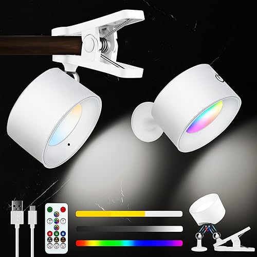 Adetu LED Magnetic Wall Light, Rechargeable Battery, 3 Color Temperatures & RGB, Dimmable, 360 Rotation, Removable Clamp, RemoteTouch Control