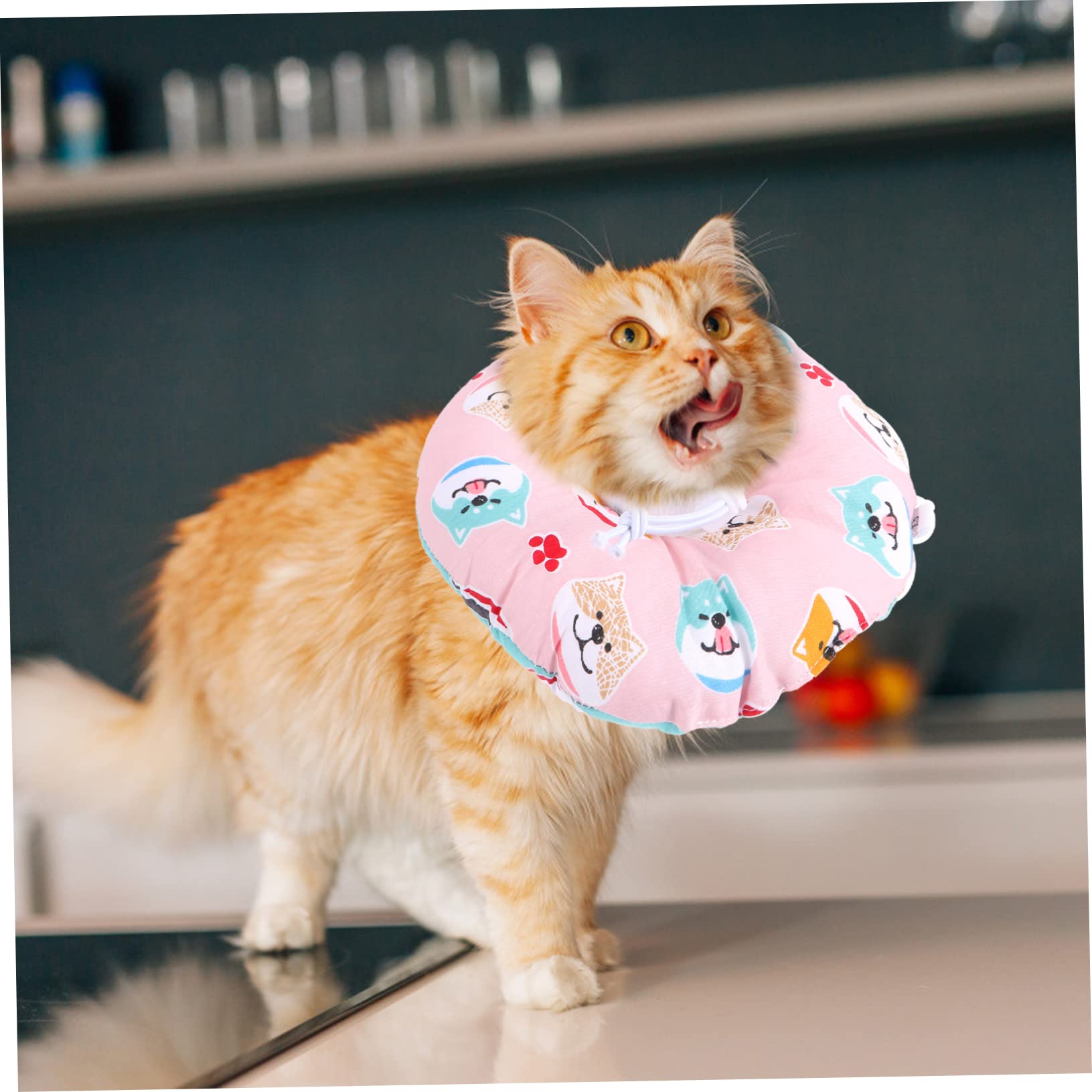 Sosoport 3piezas Collar De para Gatos Pequeños y Cachorros Collar para Protección De Heridas Diseño Cómodo y Ayuda La De Lesiones y Operaciones
