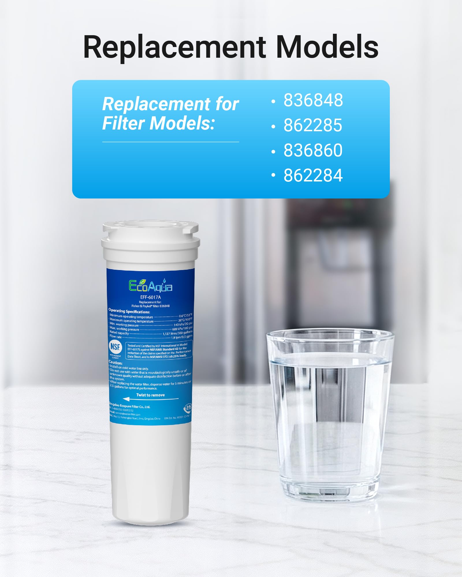 Amazon.com: EcoAqua EFF-6017A Replacement for Fisher & Paykel 