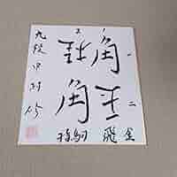 Amazon.co.jp: 将棋プロ棋士直筆サイン色紙 : 文房具・オフィス用品