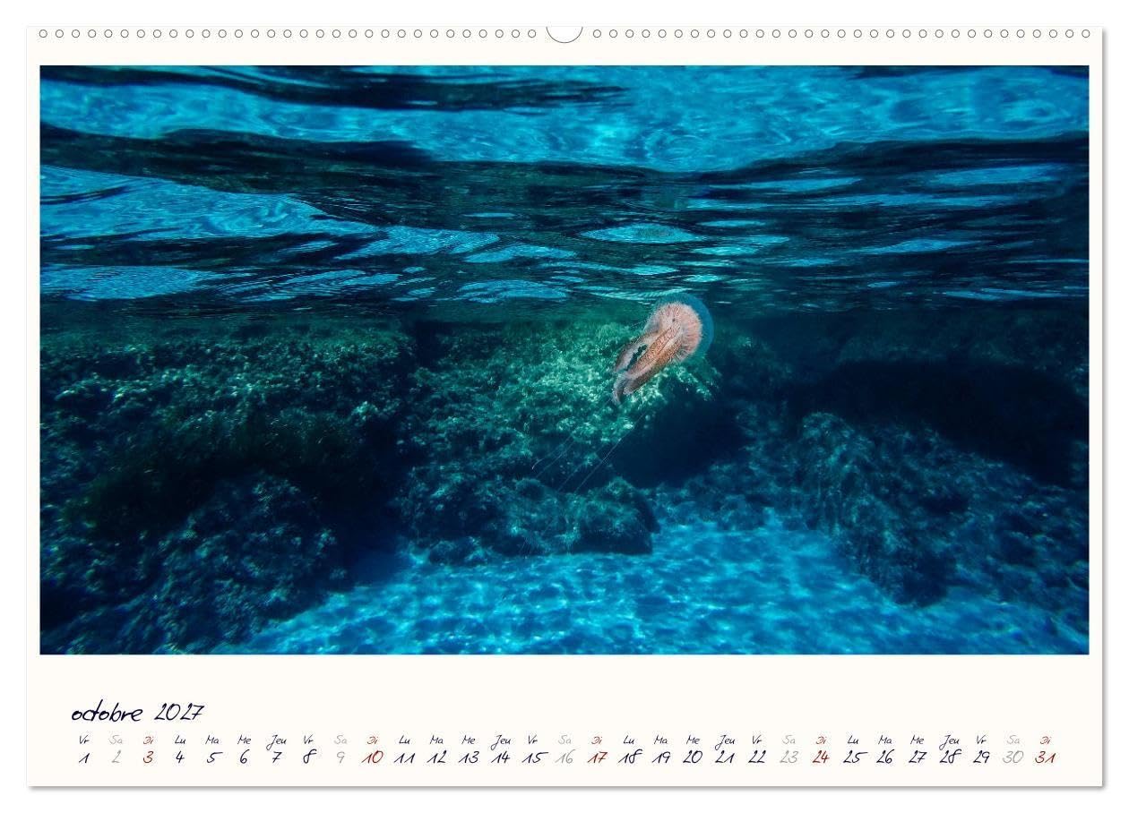 Corse - fantastiques côtes de la Méditerranée (Calendrier mural haut de gamme 2027 DIN A2 vertical), CALVENDO calendrier mensuel: Eté, soleil, plage et mer